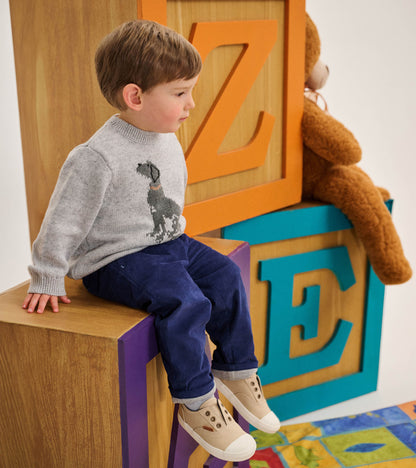 Baby & Toddler Boys Labrador Crew Neck Sweater