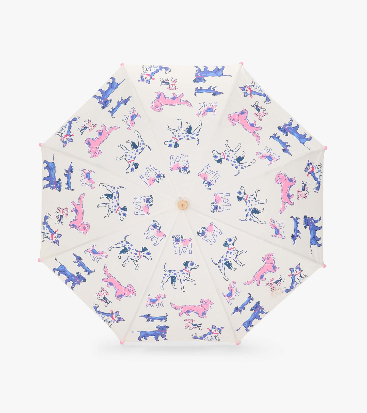 Top view of clear umbrella canopy with pink, blue, and spotted dog illustrations