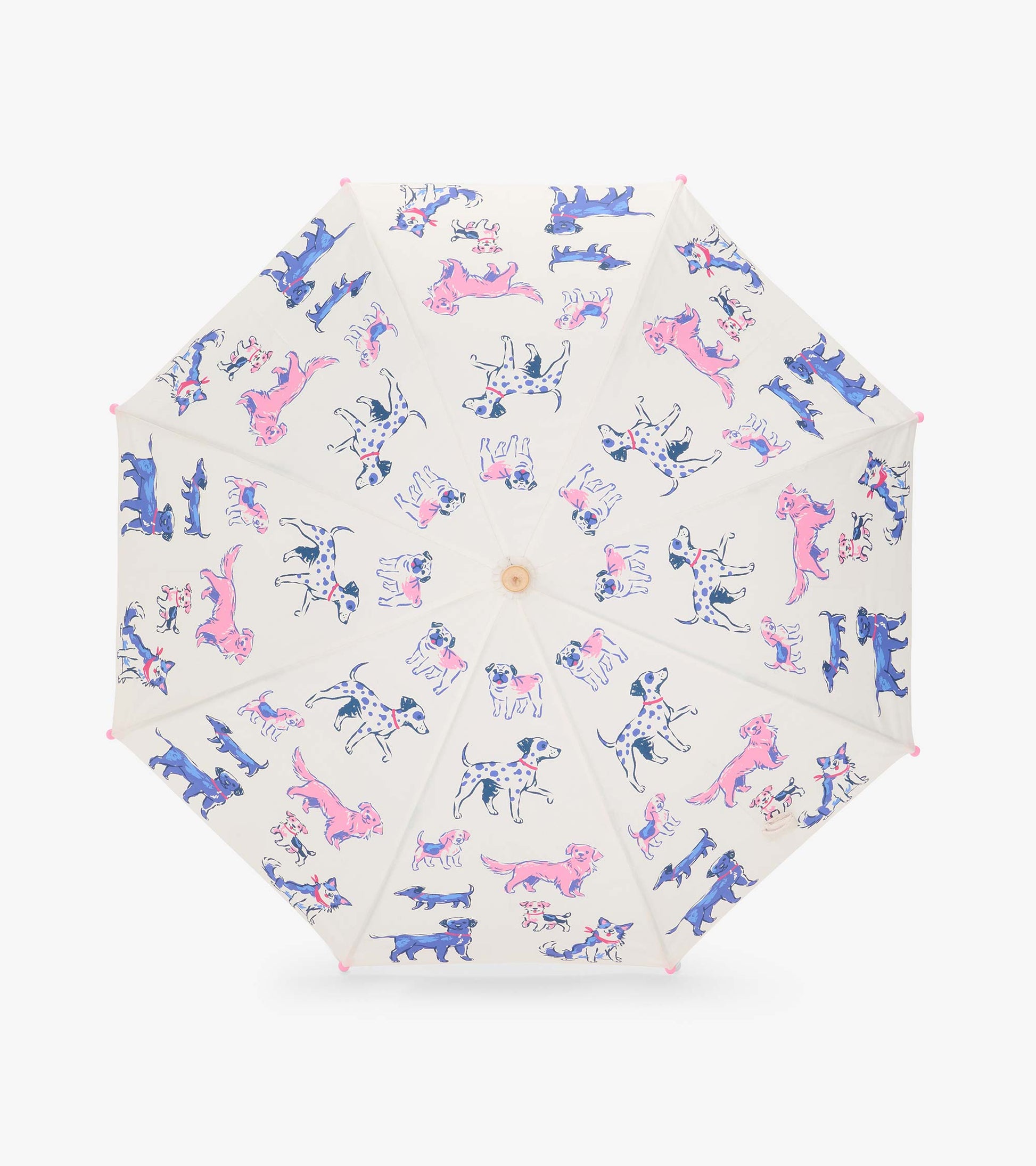Top view of clear umbrella canopy with pink, blue, and spotted dog illustrations