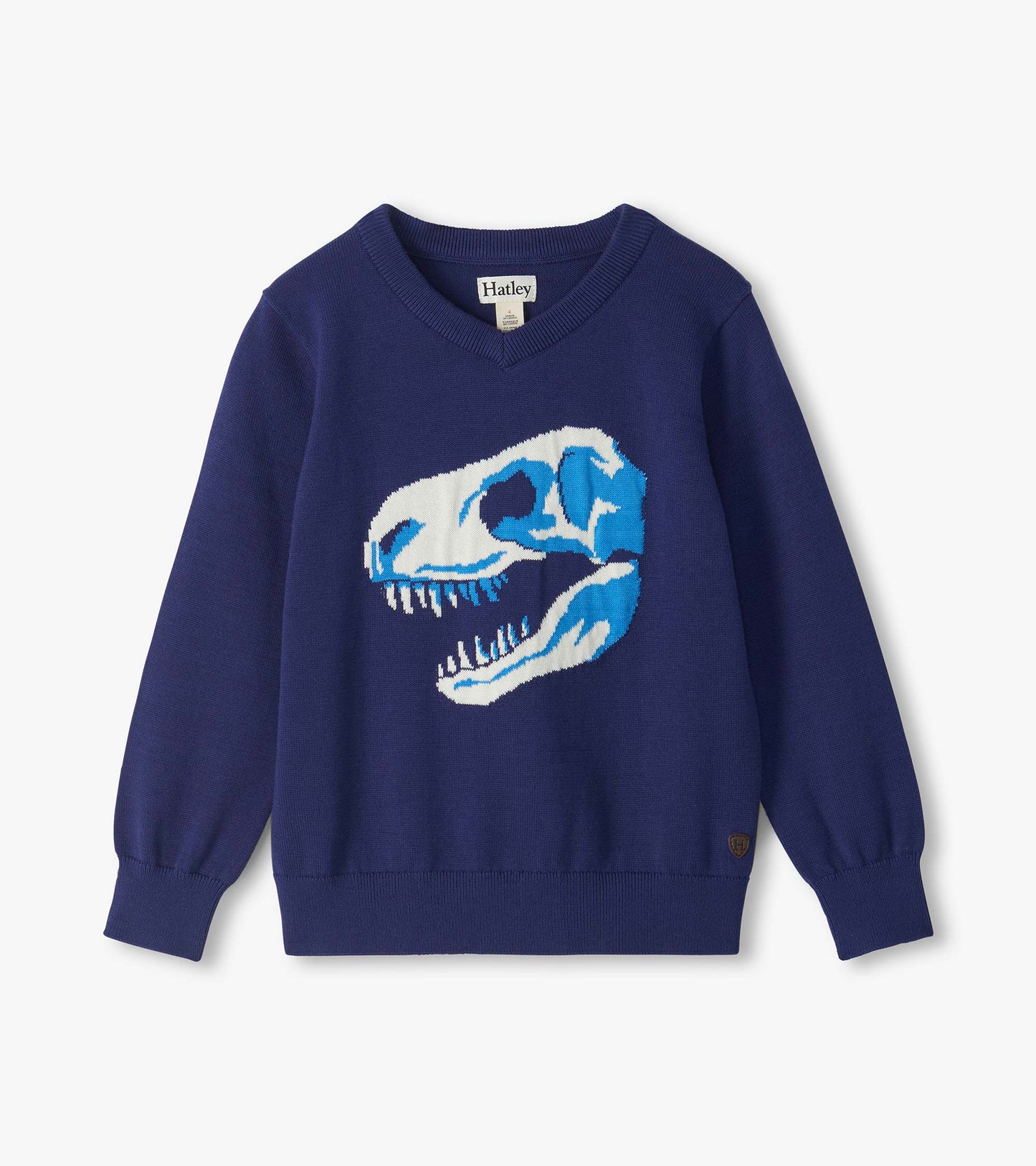 Boys Dino Skull V-Neck Sweater