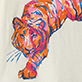 View Girls Fierce Tiger Graphic T-Shirt orange tiger illustration with blue and pink stripes