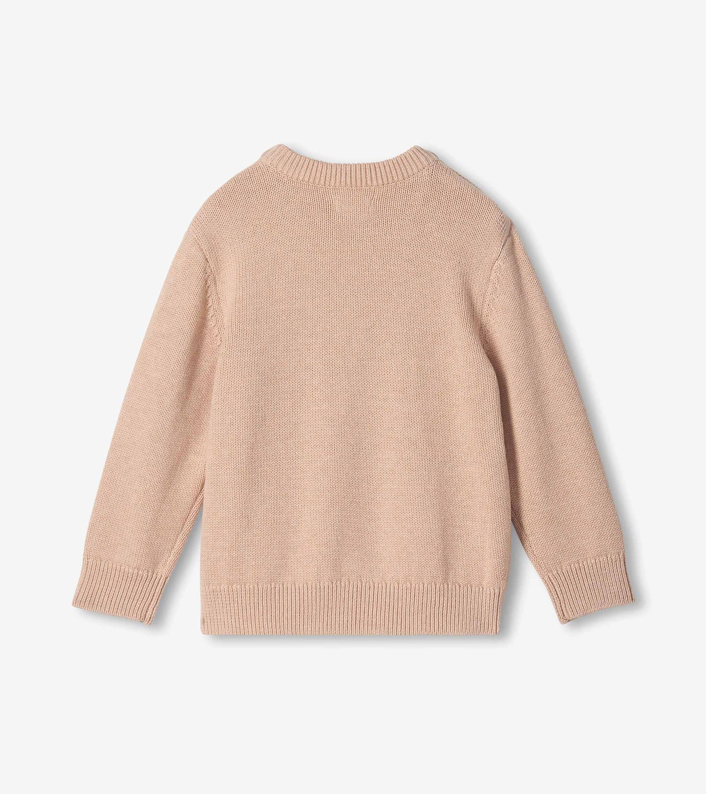Boys Fish Crew Neck Sweater