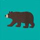 View Women's Brown Bear Oversized Zip-Up Hoodie - Brown bear silhouette on a teal background