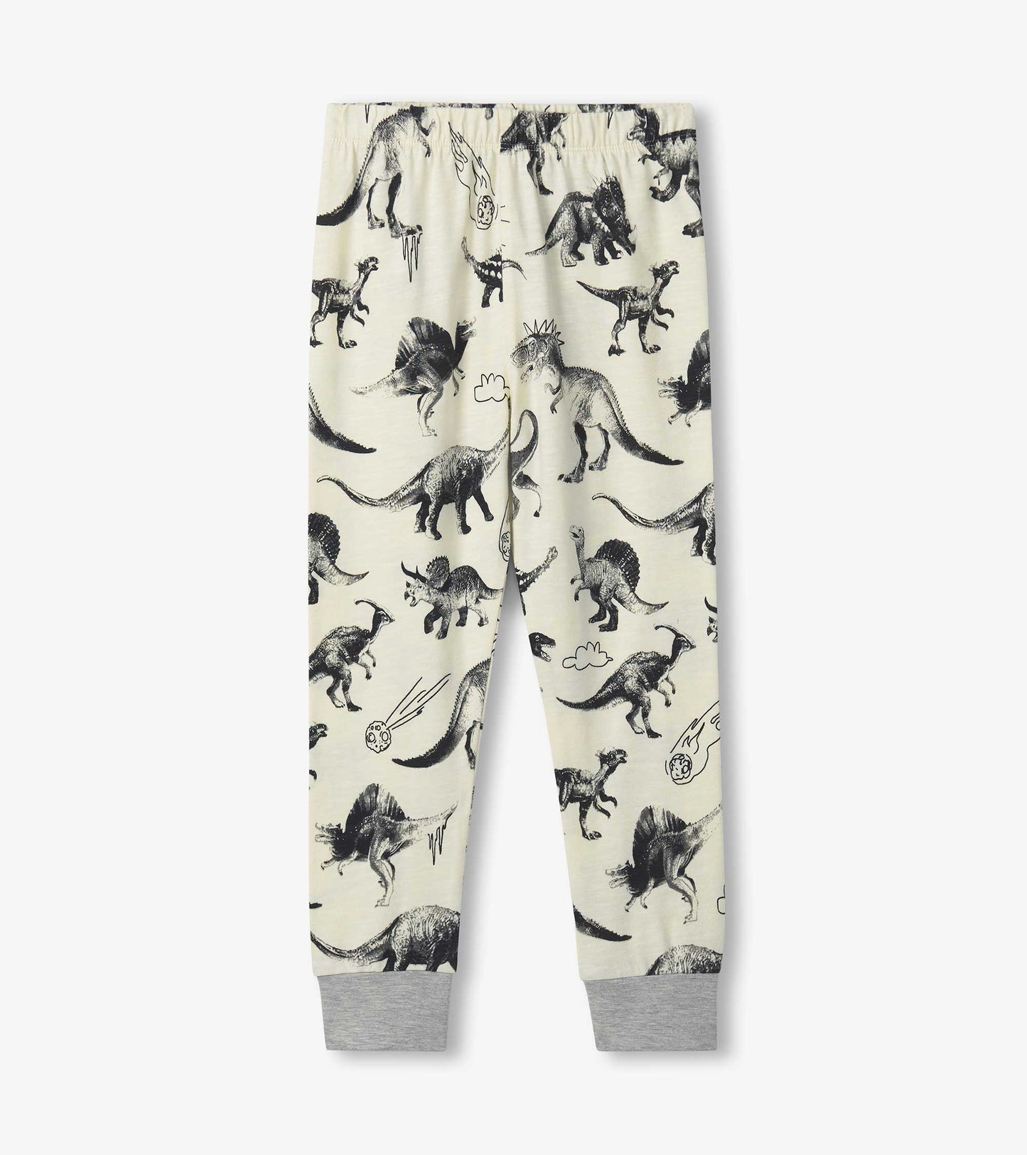 Boys Dino Extinction Pajama Set