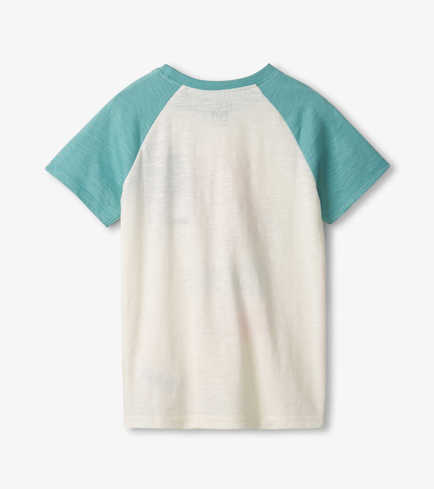 Boys Fish & Chips Raglan T-Shirt