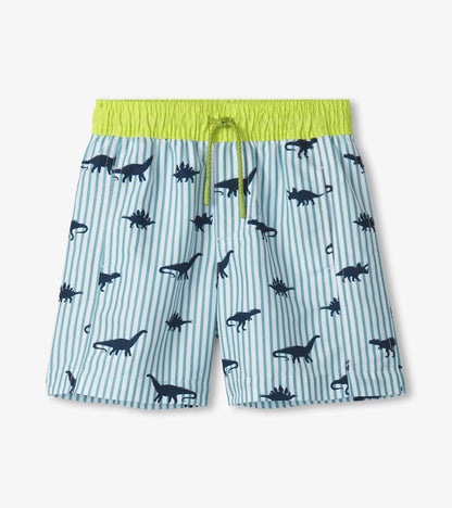 Boys Dino Stripes Swim Trunks