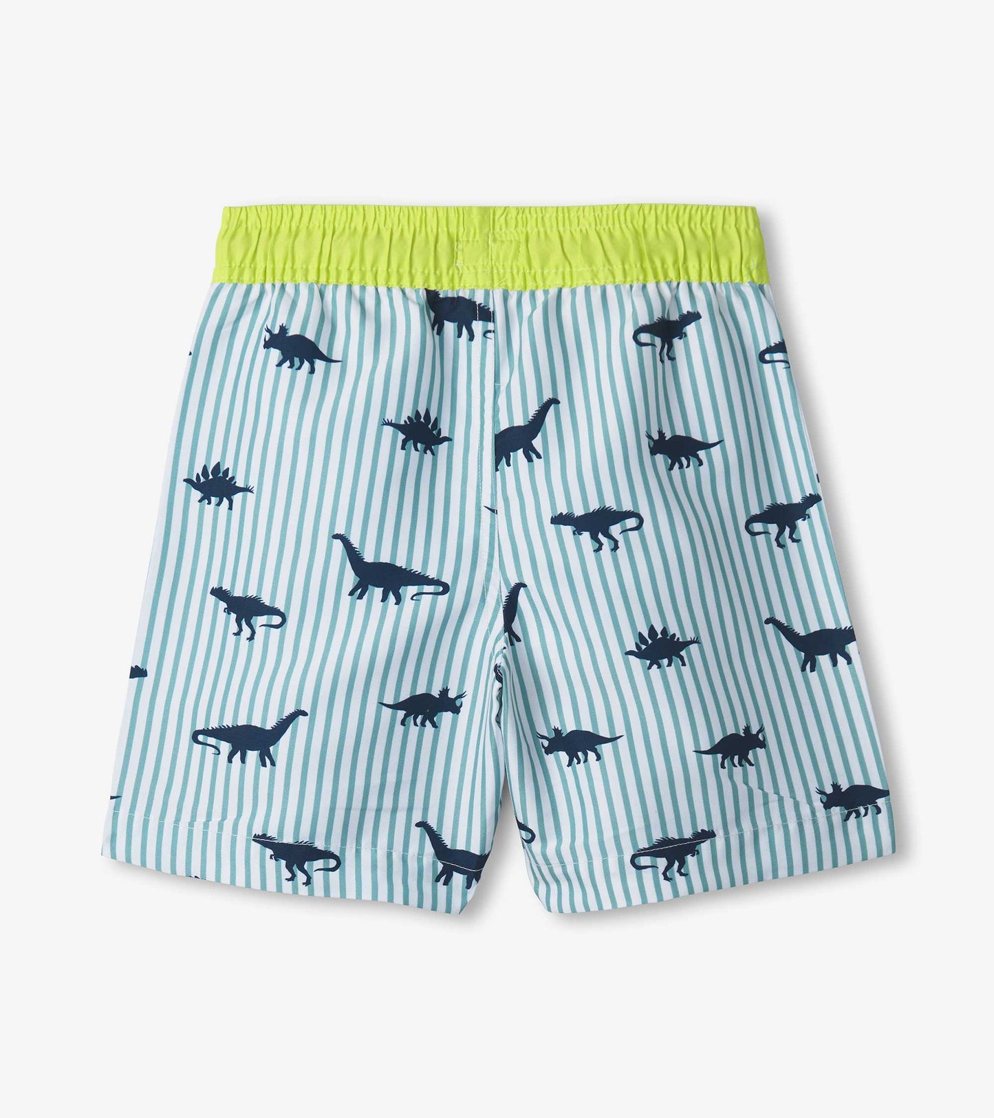 Boys Dino Stripes Swim Trunks