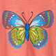 View Girls Butterfly Tie Front T-Shirt - Colorful butterfly illustration on a coral background
