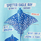 View Boys Sting Ray Graphic Tee - Blue patterned boxer briefs with labels noting split seam and no ride up fit