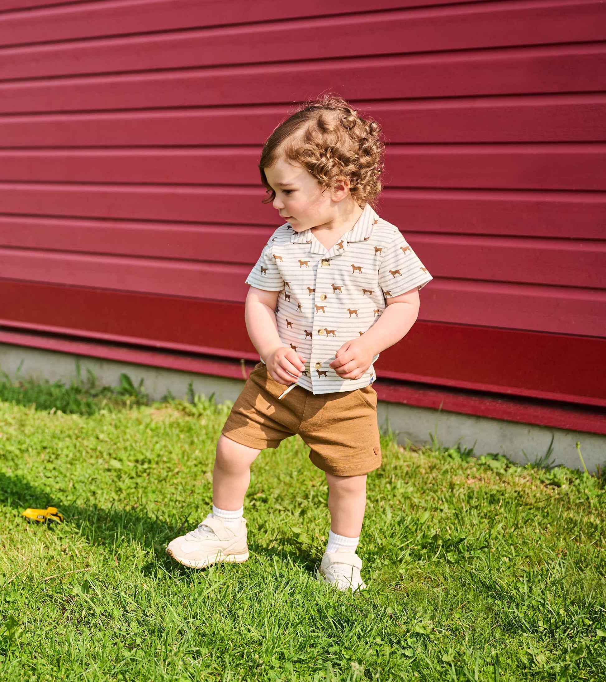 Toddler wearing white and grey striped short-sleeve button-down with brown dog print, standing on grass