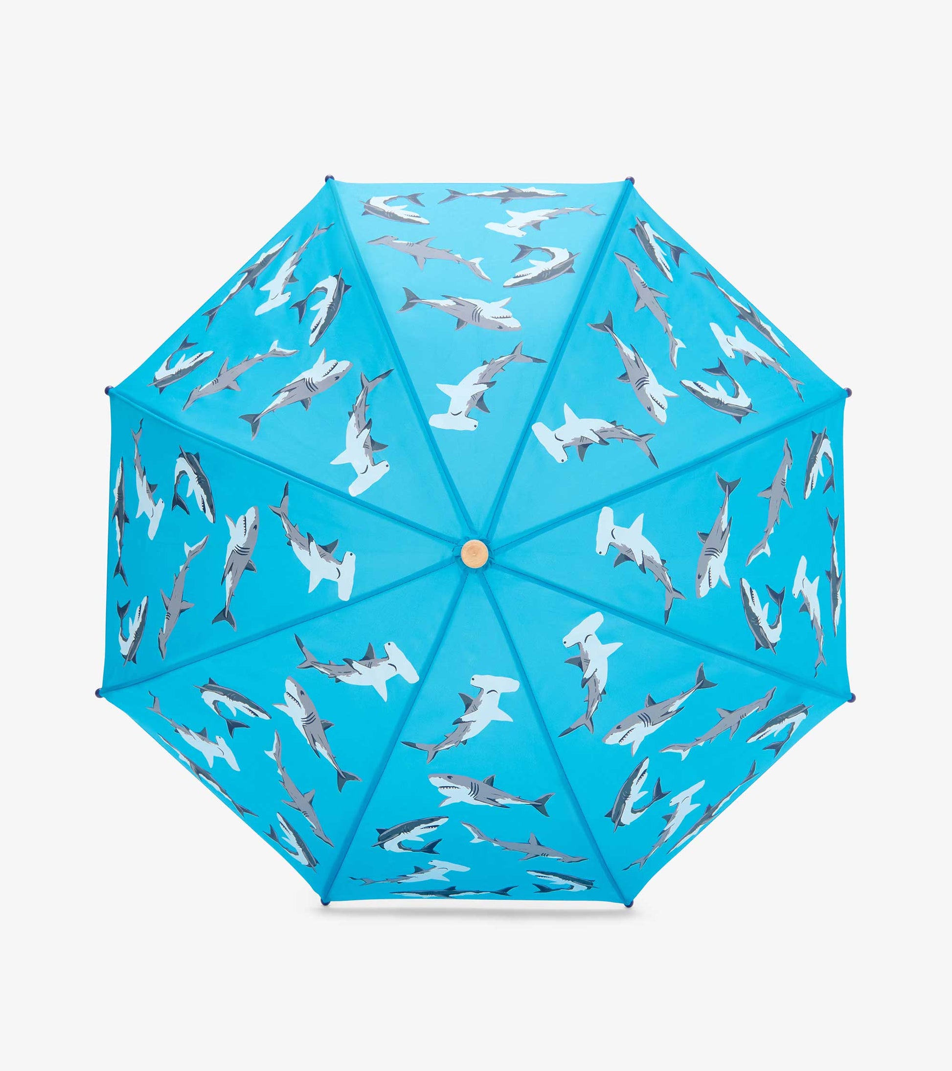 Blue kids umbrella with shark pattern, shown open from above