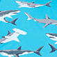 View Boys Shark Party Umbrella - Sharks swimming on a bright blue background