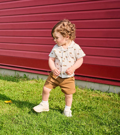 Toddler boy wearing toasted coconut pull-on shorts with a striped dog-print shirt, standing outdoors on grass