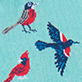 View Backyard Birds Women's Crew Socks - Three colorful birds on a light blue background