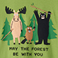 View May The Forest Be With You Men's Tee - Cartoon moose, fox, and bear in sweaters on green background with text: MAY THE FOREST BE WITH YOU