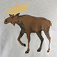 View Wildlife Men's Tee - Brown moose with tan antlers
