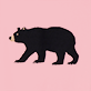 View Bear on Pink Women's Pajama T-Shirt - Black bear silhouette walking left on a pink background