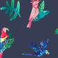 View Women's Tropical Birds Polyknit Pajama Pants - Illustrated tropical birds and leaves on a dark background