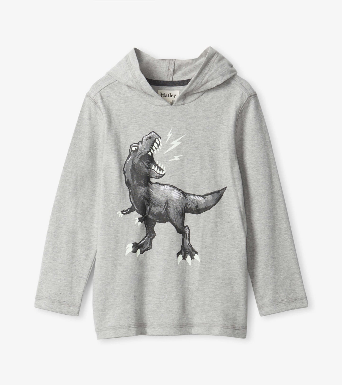 Boys Dino Long Sleeve Hoodie Tee