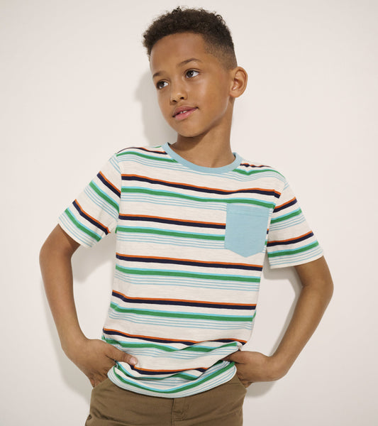 Boys Hiking Stripes Pocket Tee