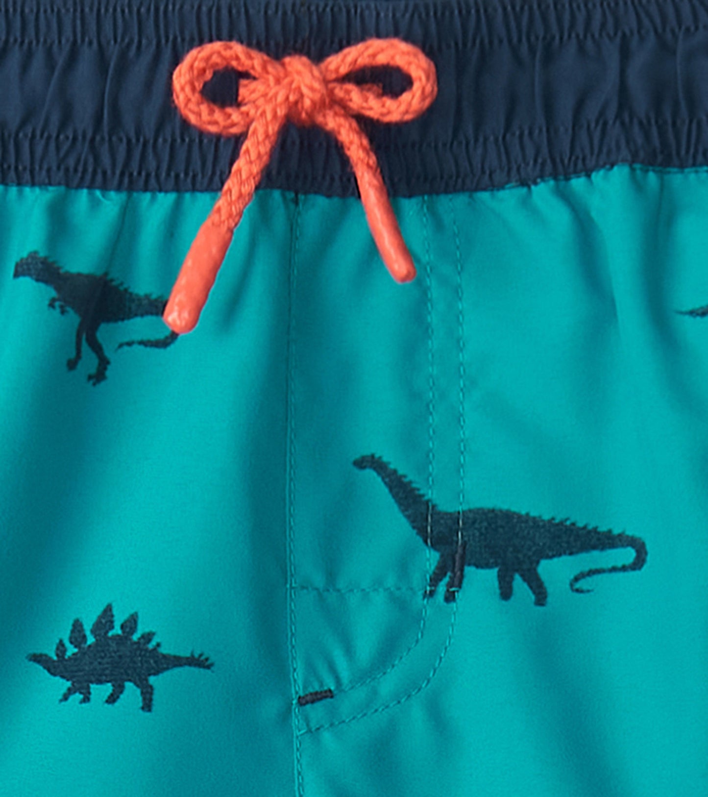 Boys Dino Silhouette Swim Trunks