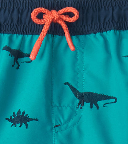 Boys Dino Silhouette Swim Trunks