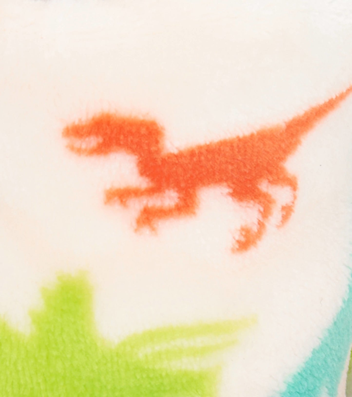 Real Dinosaurs Kids Fleece Slippers