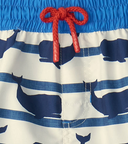 Boys Nautical Whale Swim Shorts