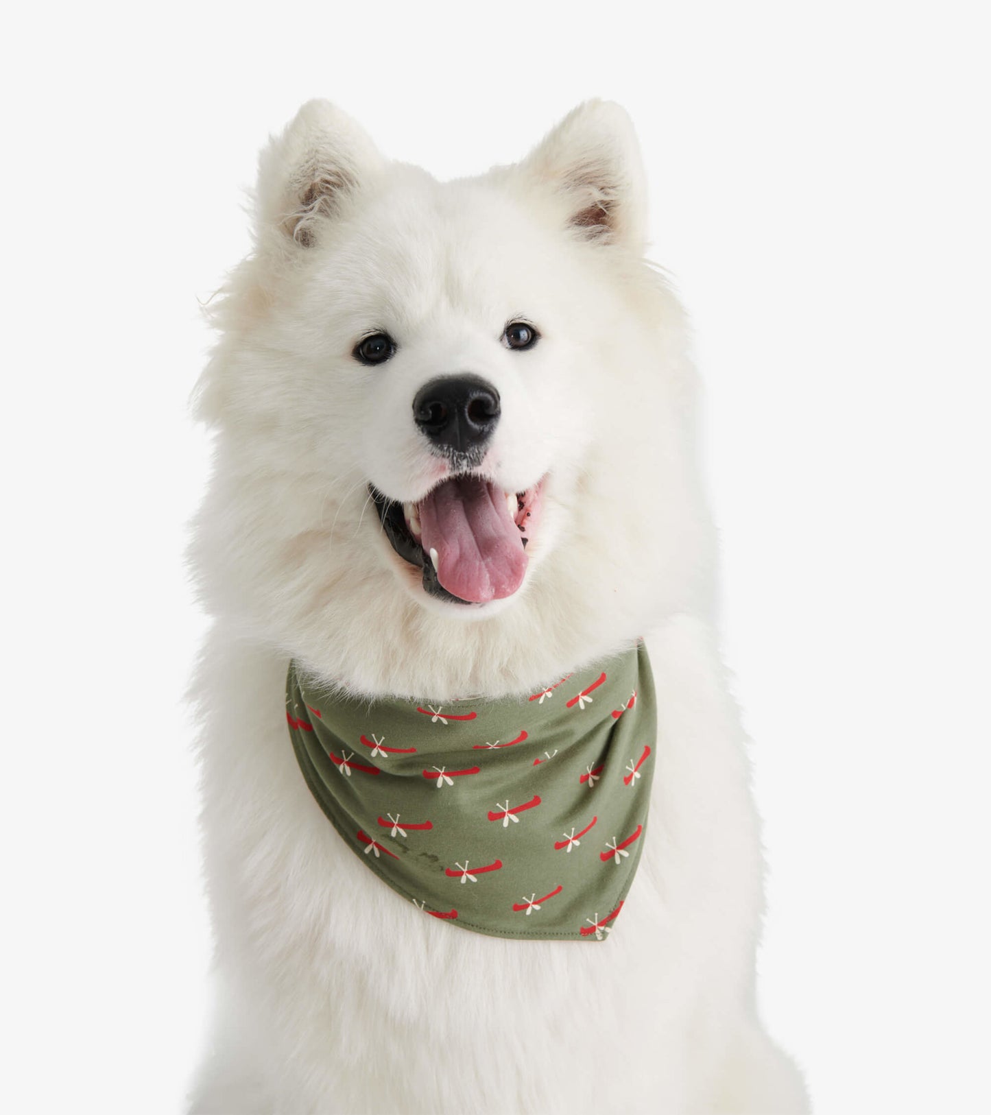 Happy Camper Reversible Dog Bandana