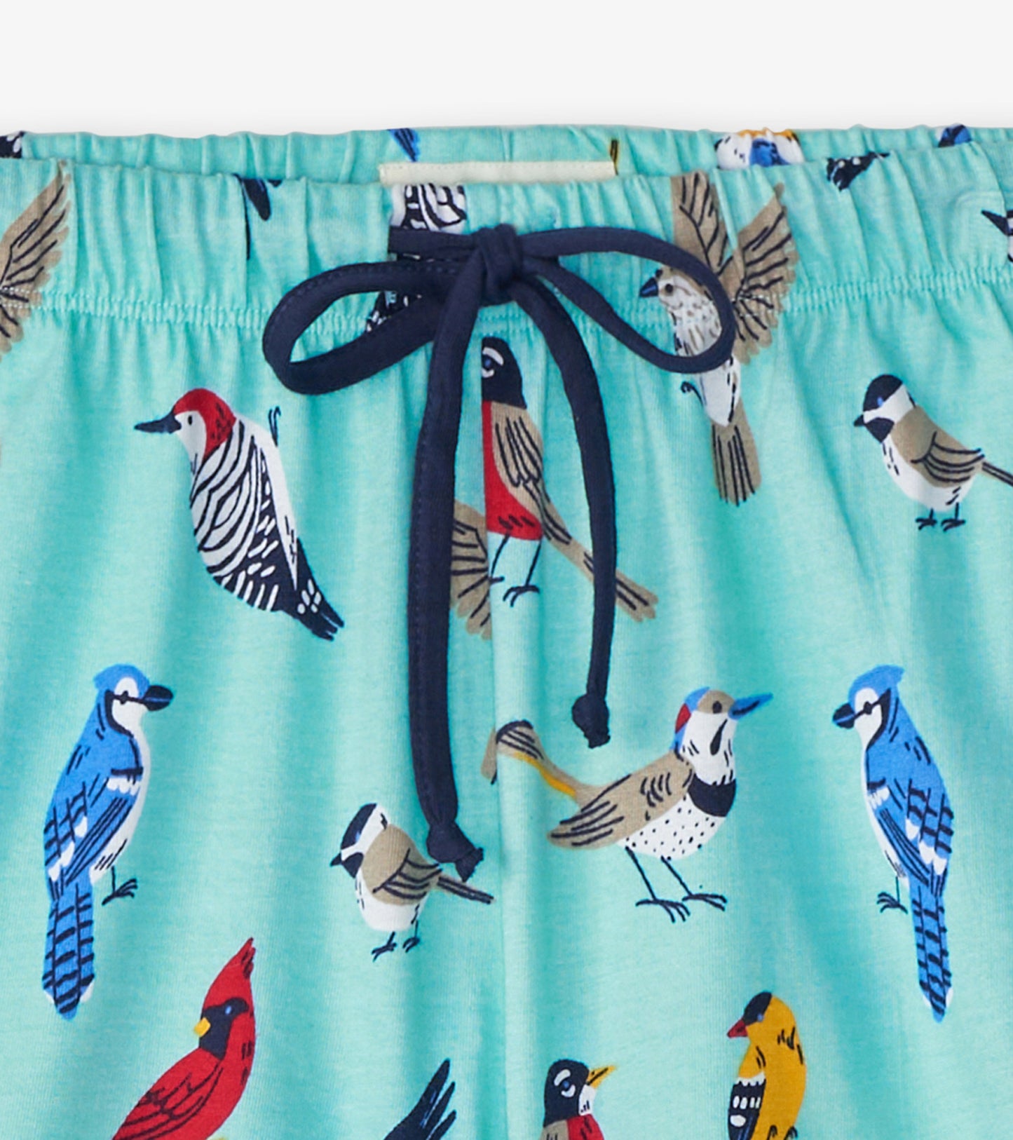 Backyard Birds Women's Sleep Shorts