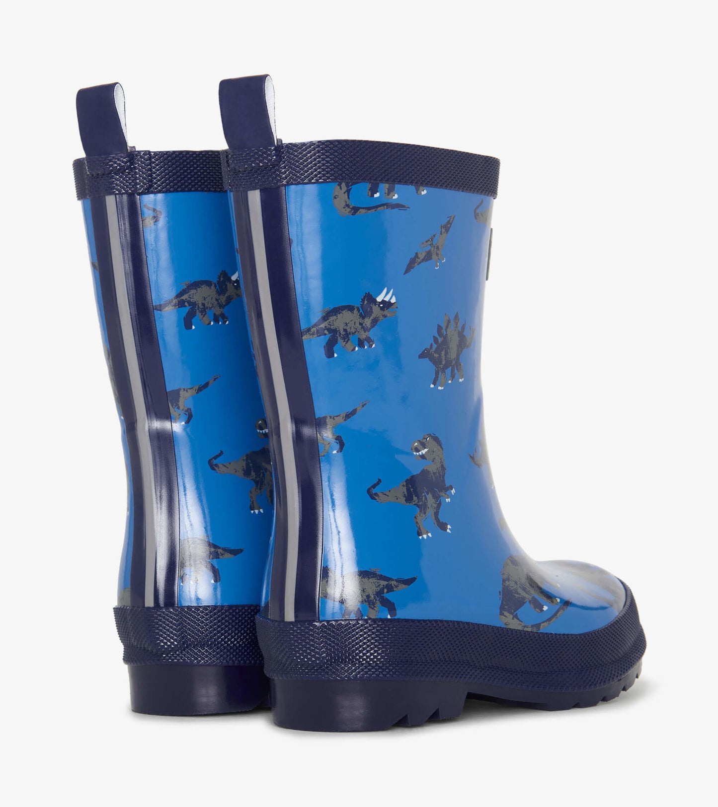 Boys Dinosaur Shiny Rain Boots