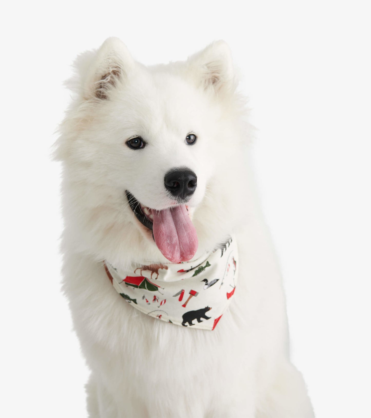 Happy Camper Reversible Dog Bandana