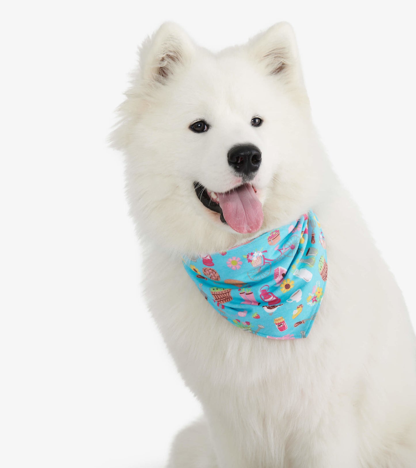 Country Living Reversible Dog Bandana