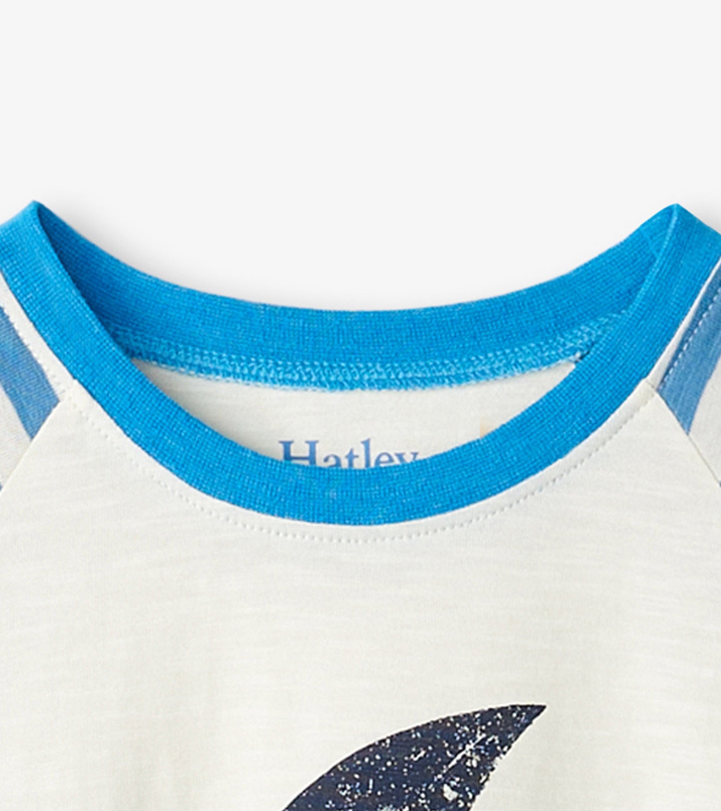 Boys Shark Fin Waves Raglan T-Shirt