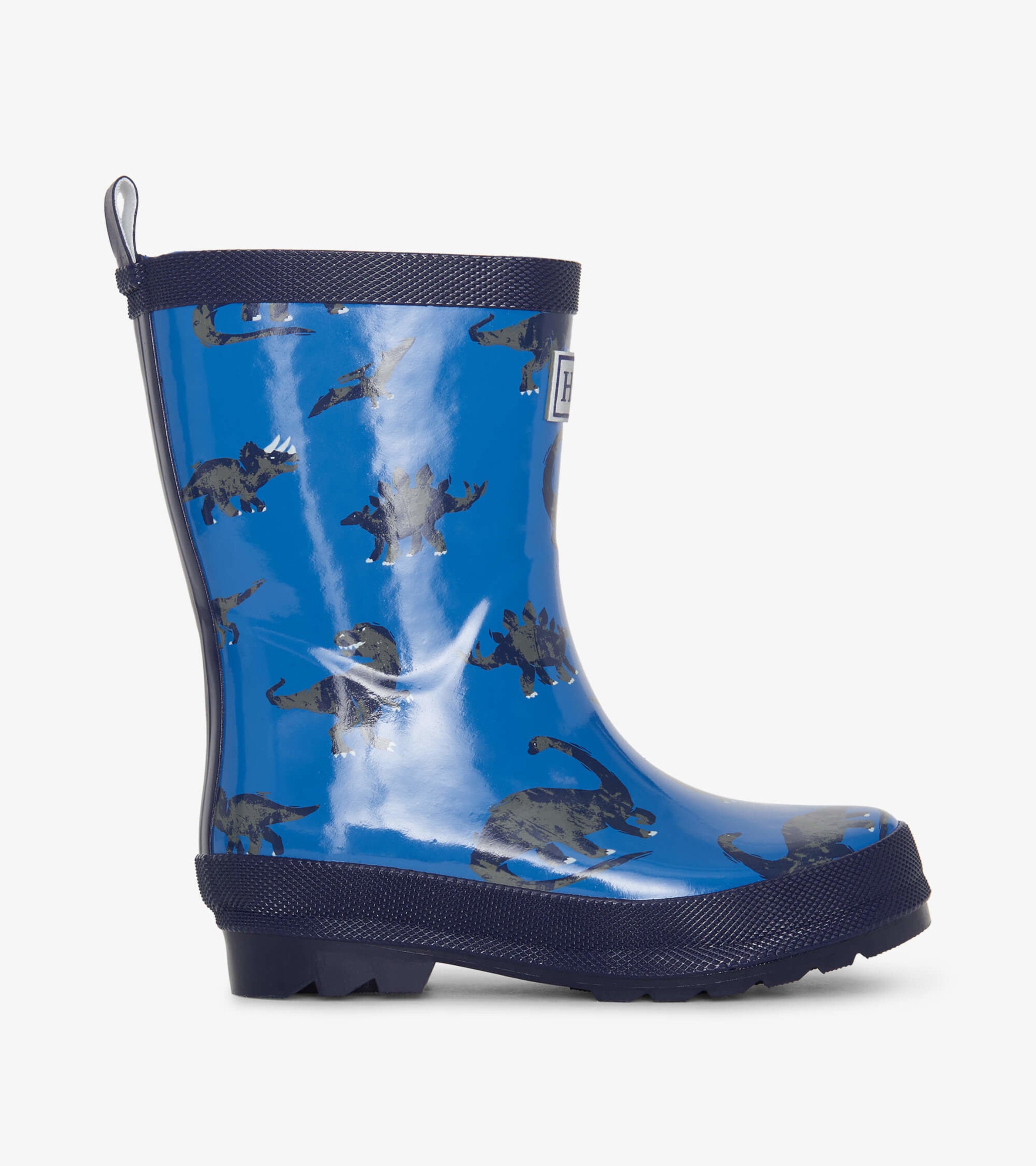 Boys Dinosaur Shiny Rain Boots