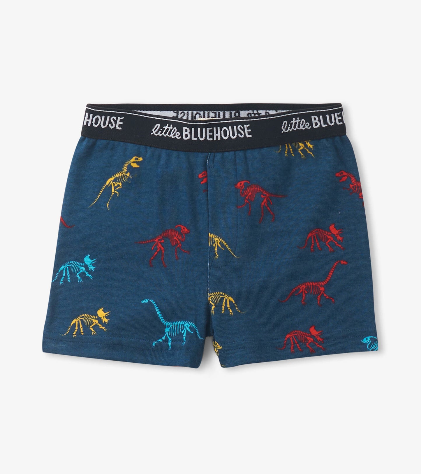 Dino Bones Boys' Boxer Briefs