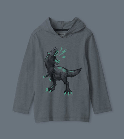 Boys Dino Long Sleeve Hoodie Tee