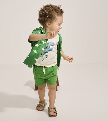 Baby & Toddler Boys Camp Green Kangaroo Shorts