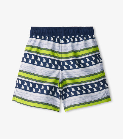 Boys Fins and Stripes Swim Trunks