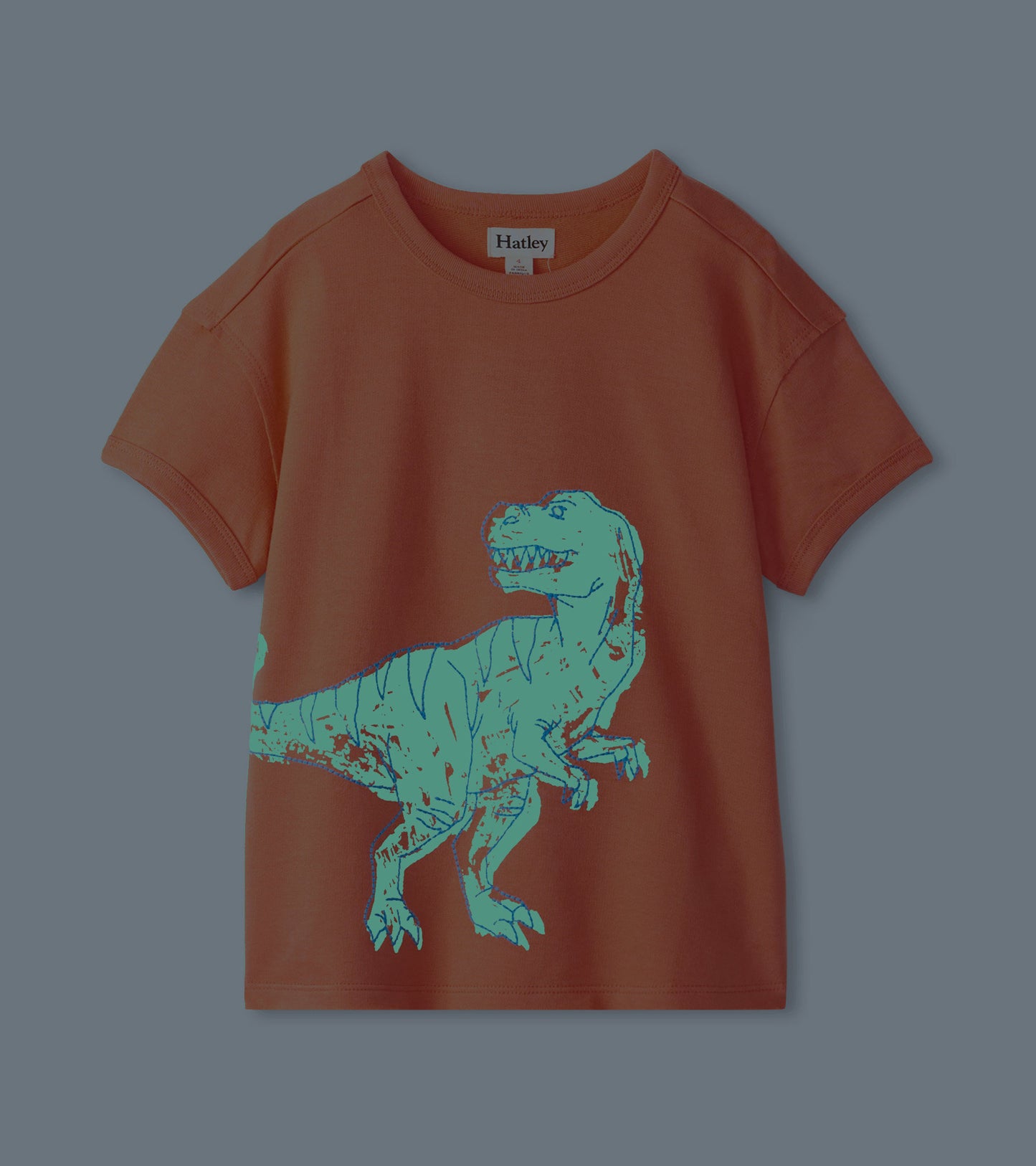 Boys Dino Glow Graphic Tee