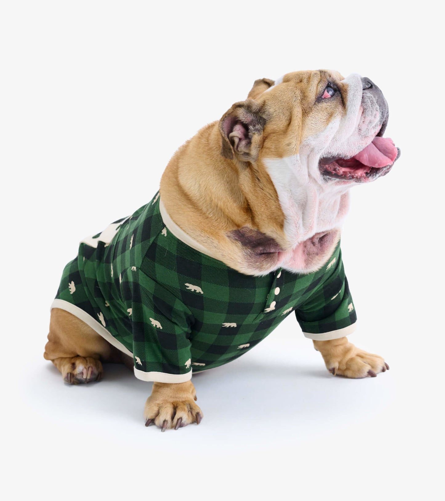 Forest Green Plaid Dog Tee