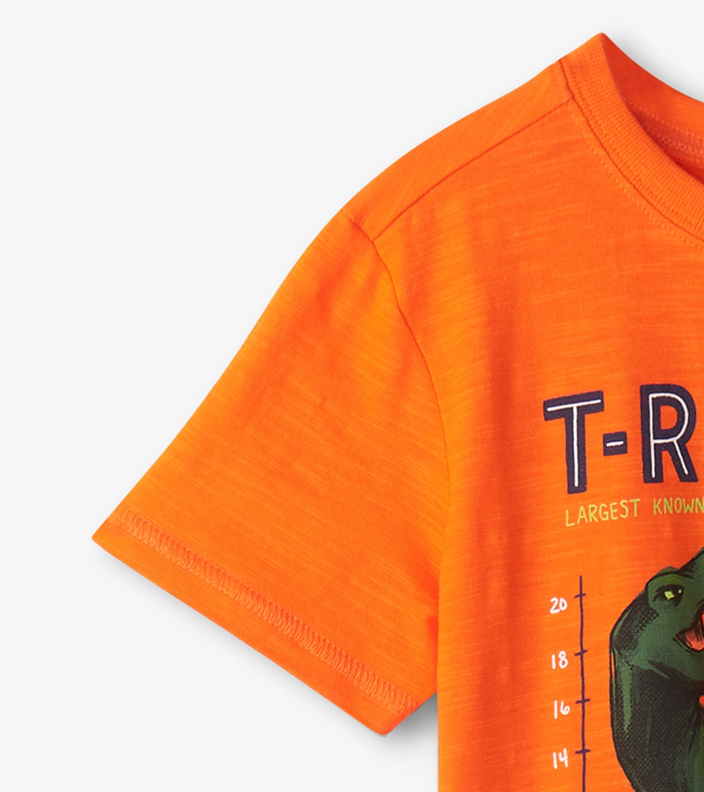 Boys T-Rex Graphic Tee