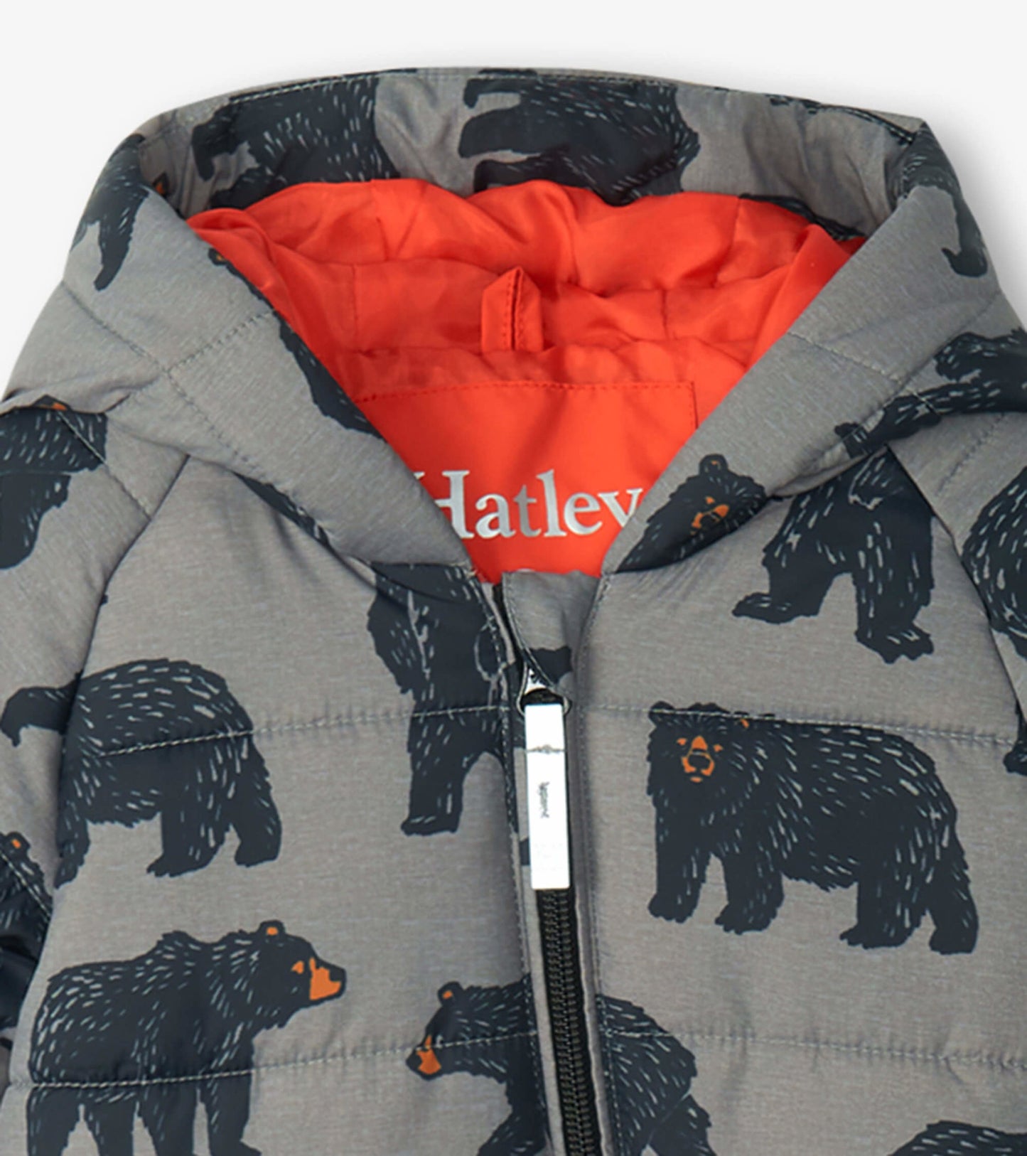 Wild Bears Baby Snowsuit