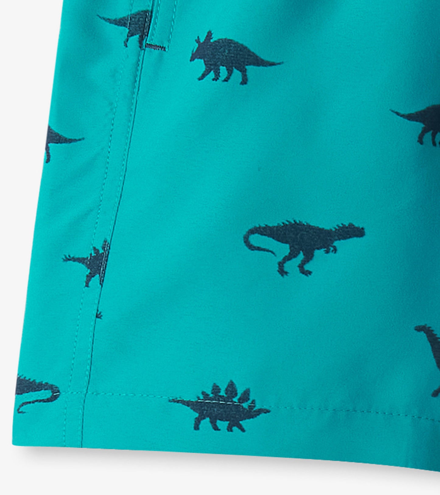 Boys Dino Silhouette Swim Trunks