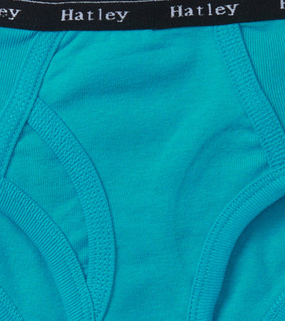 Boys Solid 3 Pack Classic Briefs