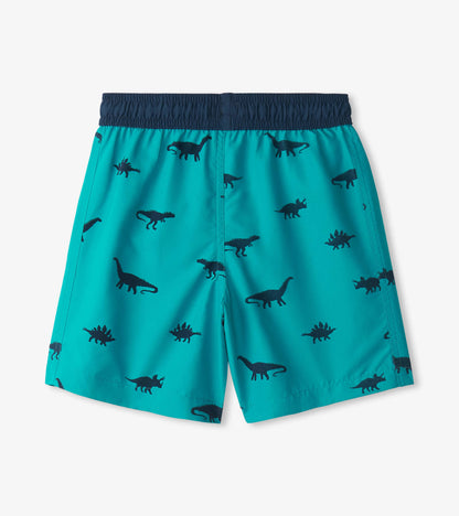 Boys Dino Silhouette Swim Trunks