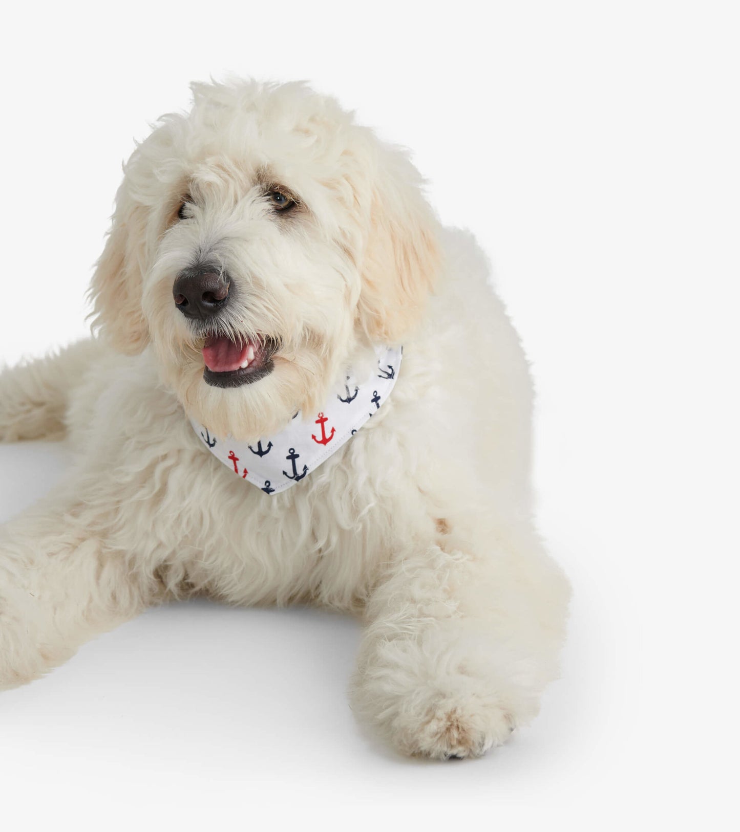 Nautical Anchors Reversible Dog Bandana